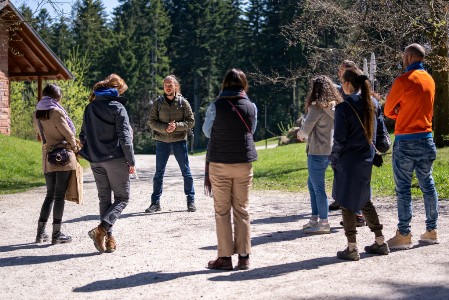 Mitarbeitende eines Unternehmens beim Waldbaden Team Event